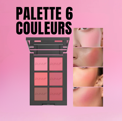 Palette Blush 6 Couleurs